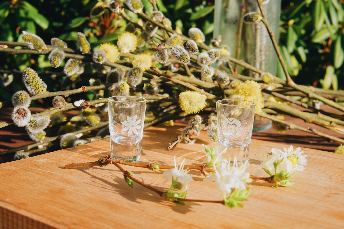 Malé skleněné štamprle na slivovici Ateliér Žampach 10 ml s jarními květinami a velikonočními kočičkami na dřevěném zahradním stole