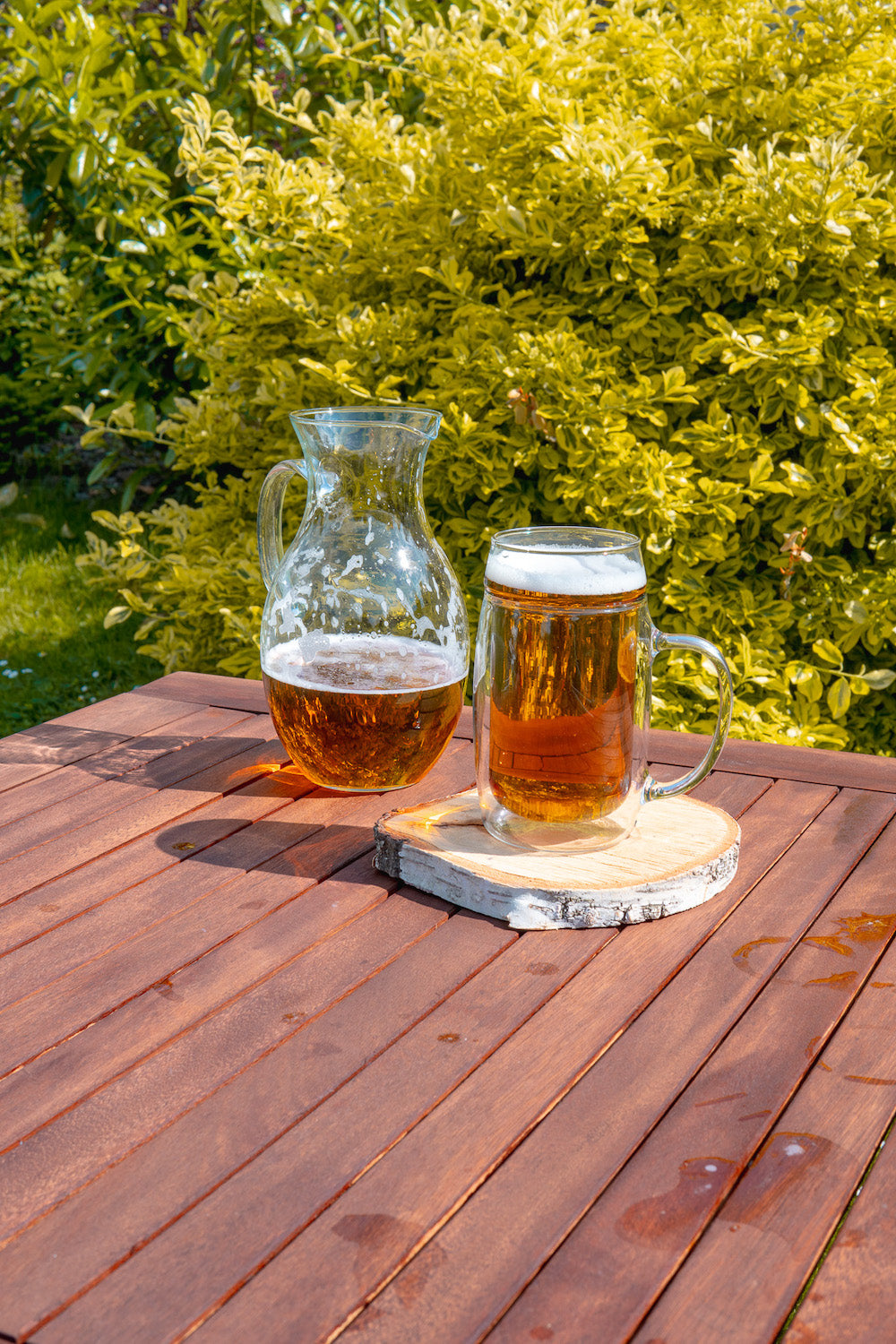Skleněný pivní džbán a skleněný půllitr piva Simax na zahradě na jaře